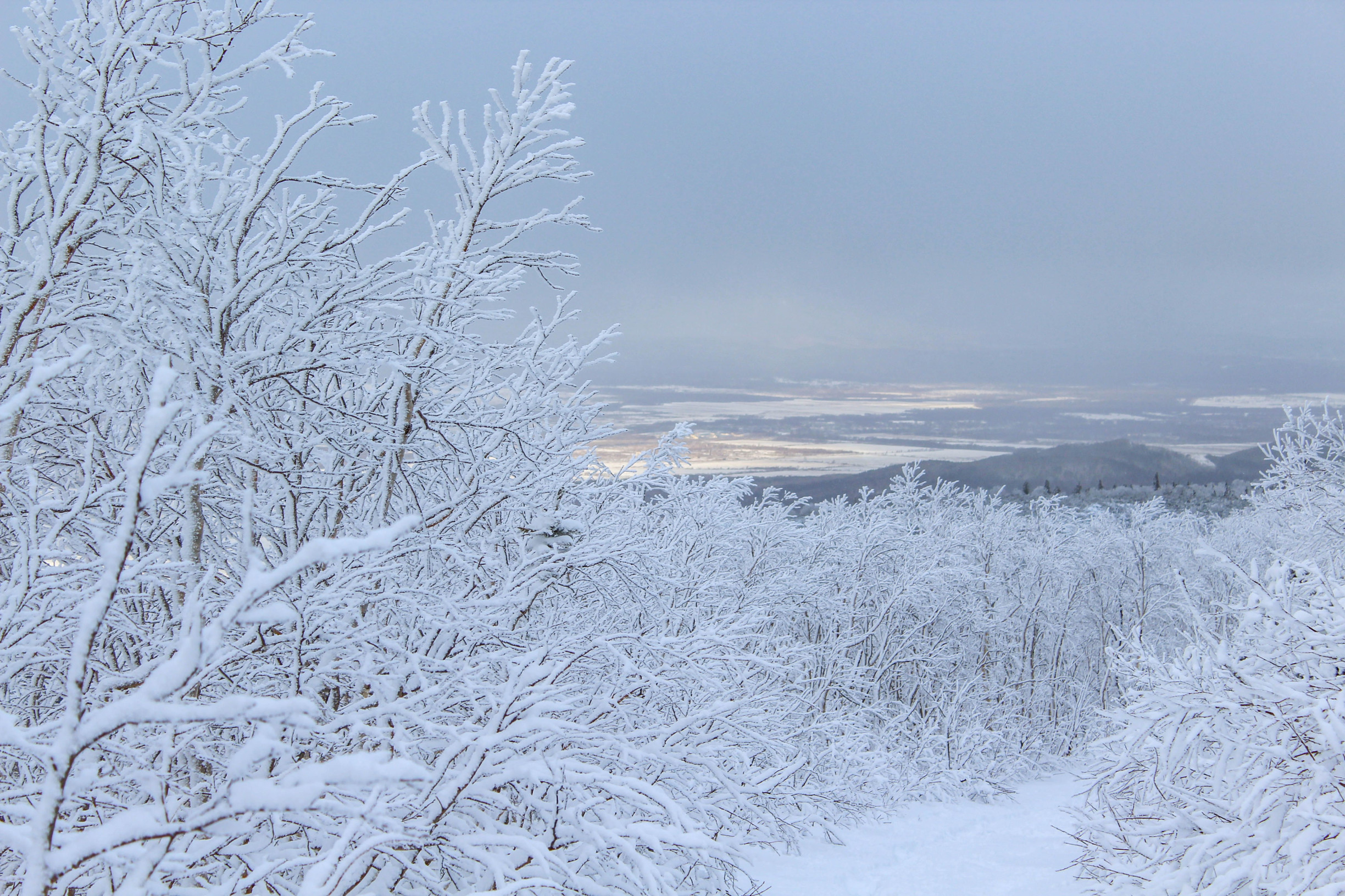 Сахалин ноябрь 2022 – фотографии России