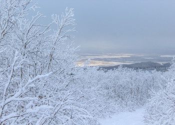 Сахалин ноябрь 2022 – фотографии России