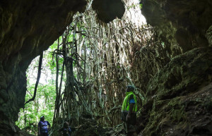 Острова Вавау, Тонга – фотографии Тонги