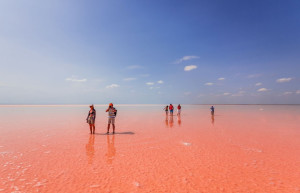 Озеро Эльтон 10 – фотографии России