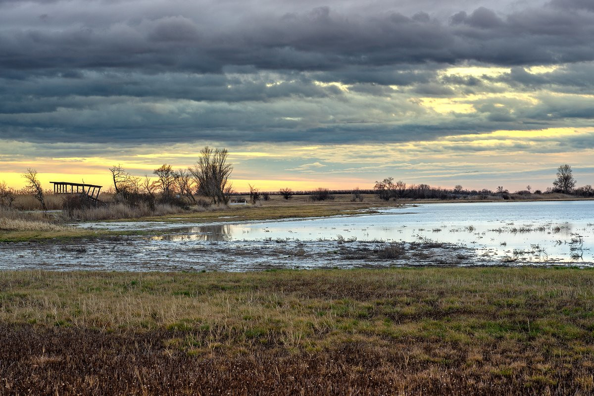 Lake Neusiedl–Seewinkel National Park.  – фотографии Австрии