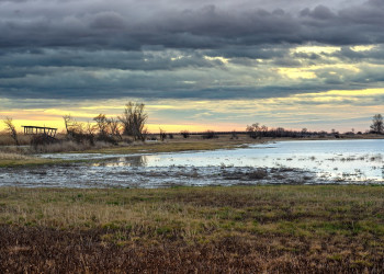 Lake Neusiedl–Seewinkel National Park.  – фотографии Австрии