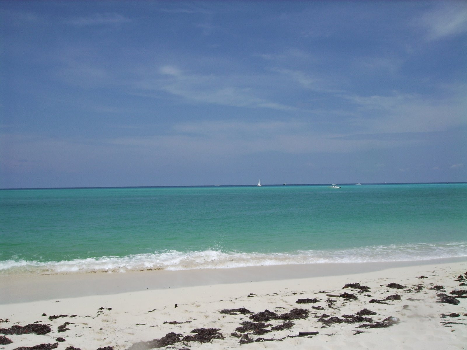 Берег на острове Бимини, Багамские острова. Фото 2 – фотографии Багамских островов