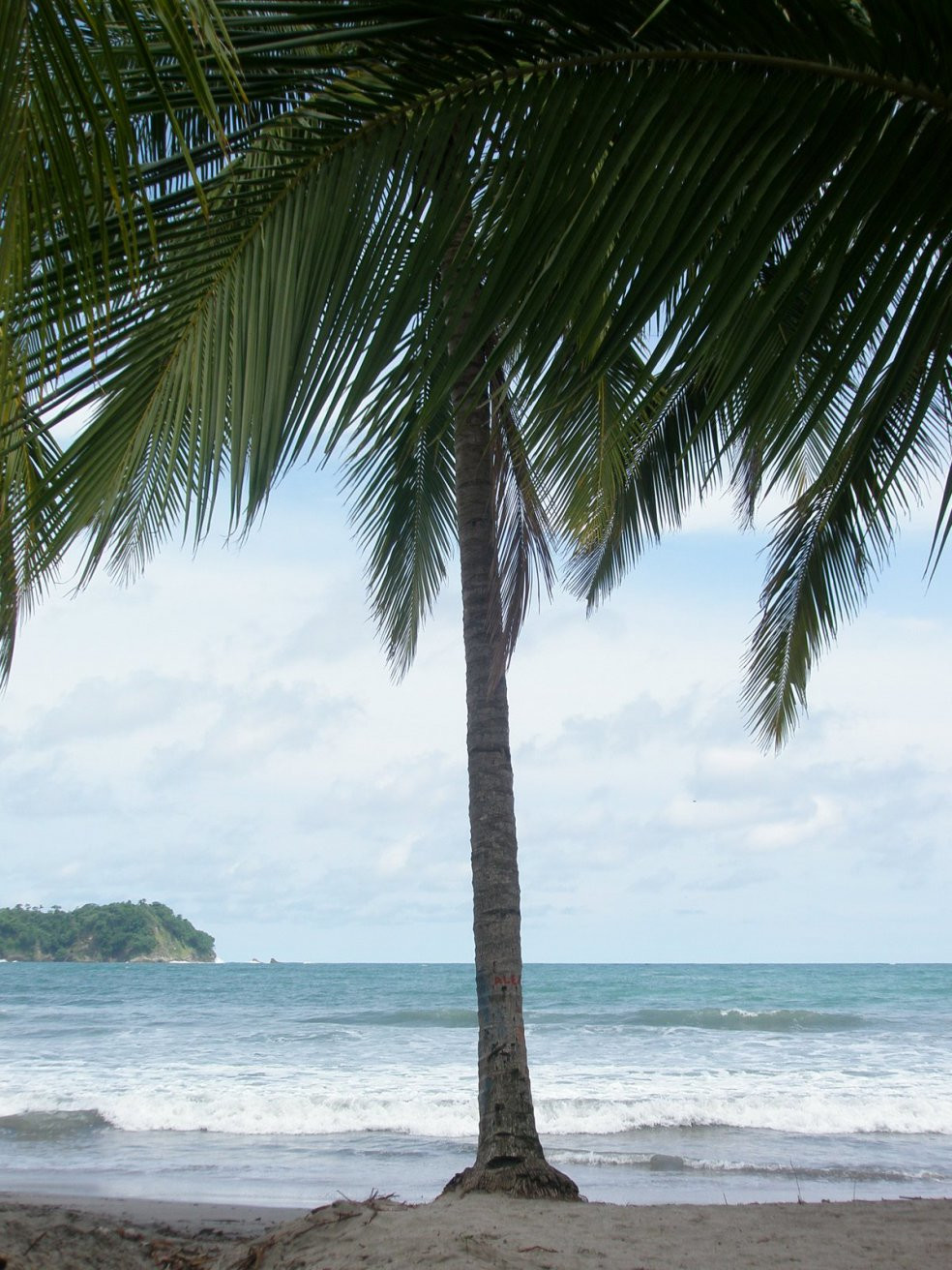 Пляж в Самаре, Россия – фотографии Коста-Рики