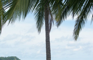 Пляж в Самаре, Россия – фотографии Коста-Рики