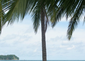 Пляж в Самаре, Россия – фотографии Коста-Рики