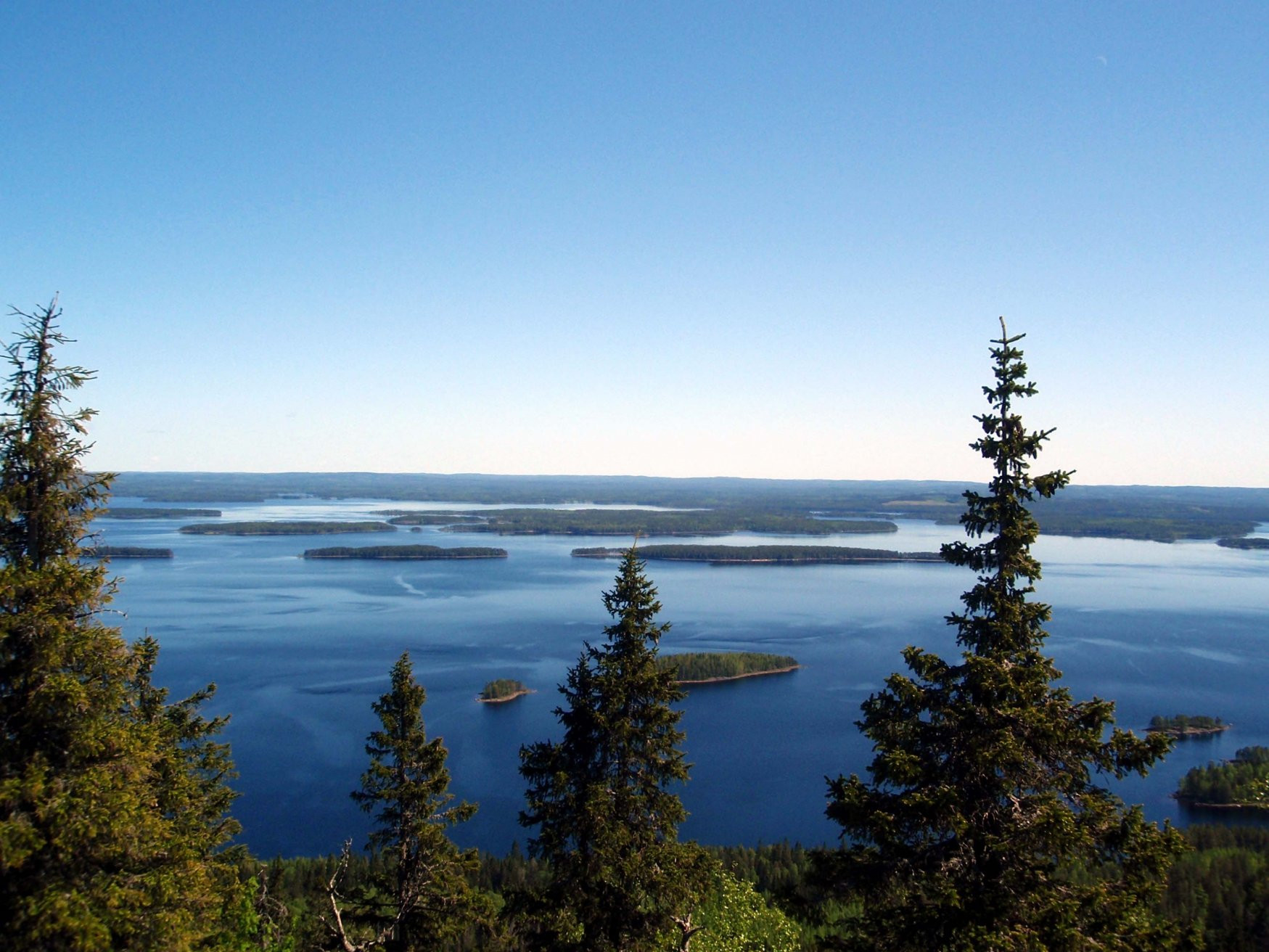 Коли, Финляндия, фото № 74554 – фотографии Финляндии