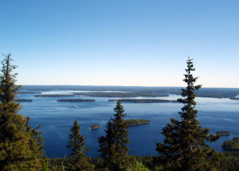 Коли, Финляндия, фото № 74554 – фотографии Финляндии