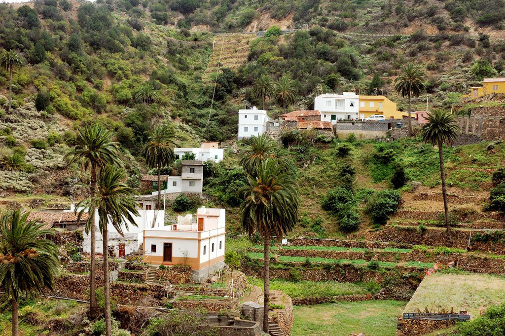 Вальеэрмосо, Ла-Гомера остров, Канарские острова, фото № 31564 – фотографии Канарских островов