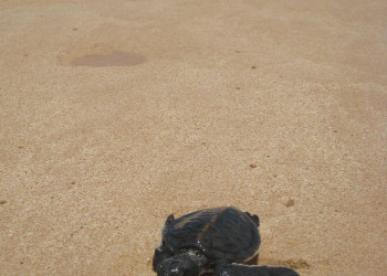 Галле, Шри-Ланка, фото № 50942 – фотографии Шри-Ланки