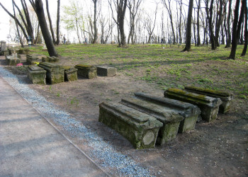 Парк Коломенское – фотографии России