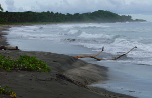 Плайя Хункуиллал, Гуанакасте провинция, Коста-Рика, фото № 39829 – фотографии Коста-Рики