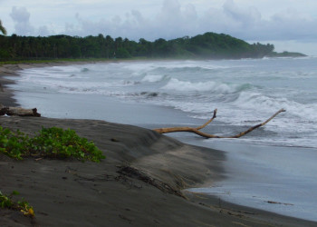 Плайя Хункуиллал, Гуанакасте провинция, Коста-Рика, фото № 39829 – фотографии Коста-Рики