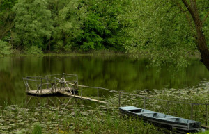 Озеро в Лоньско поле, Хорватия – фотографии Хорватии