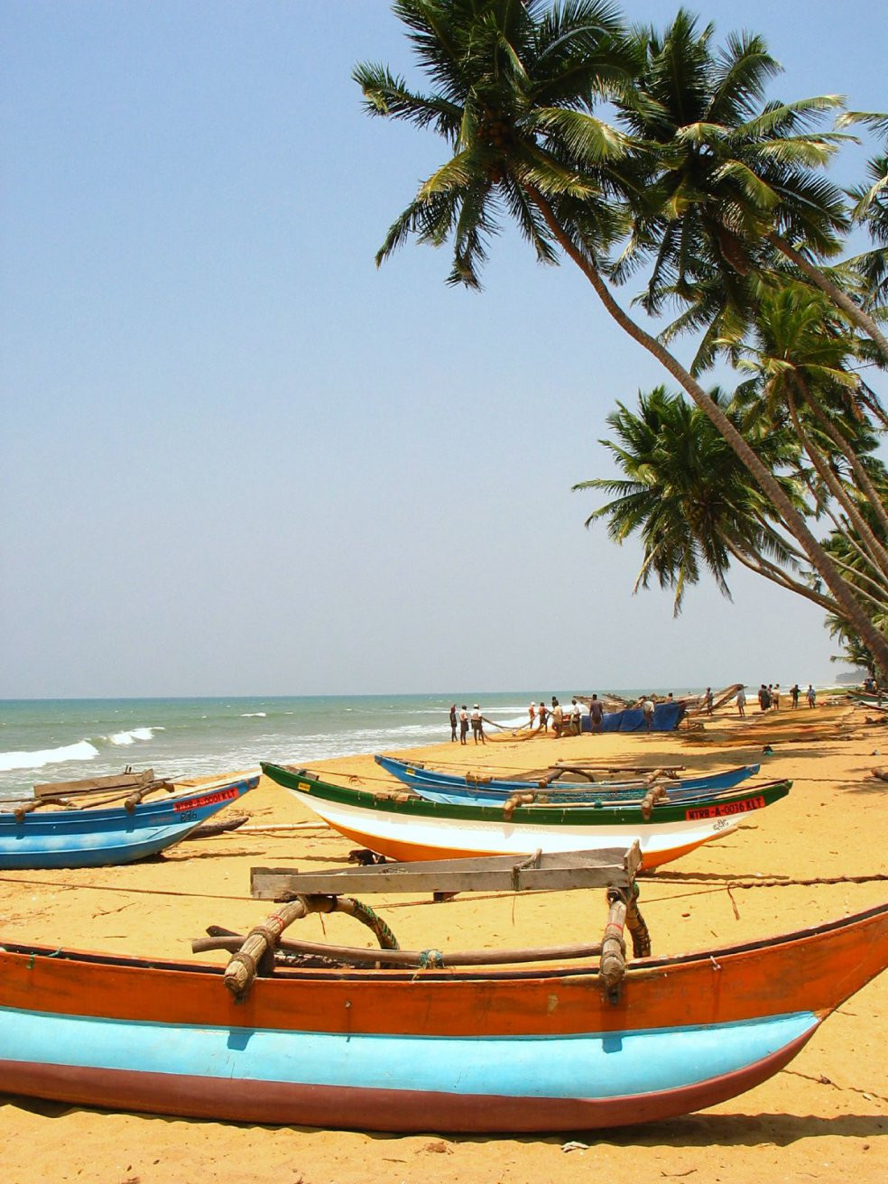 Ваддува, Шри-Ланка, фото № 50814 – фотографии Шри-Ланки