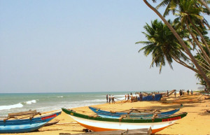 Ваддува, Шри-Ланка, фото № 50814 – фотографии Шри-Ланки