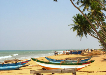 Ваддува, Шри-Ланка, фото № 50814 – фотографии Шри-Ланки