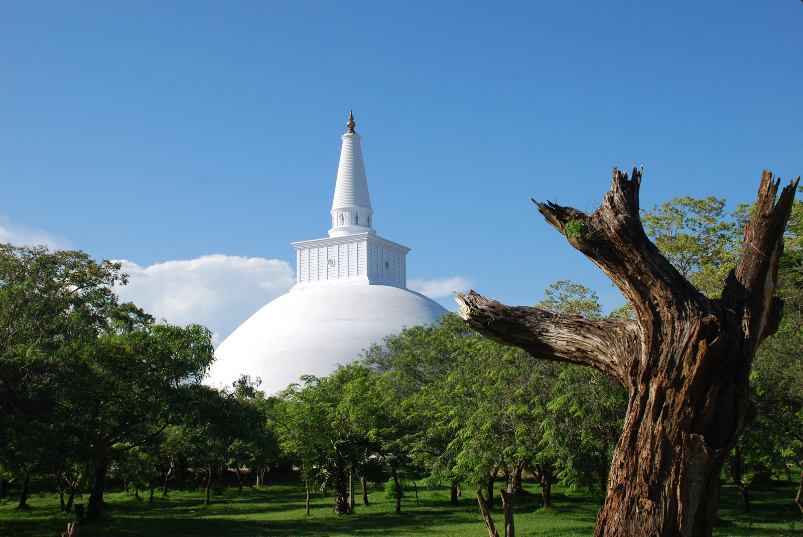 Ступа Рувановелли (Ruwanwelisaya), Анурадхапура – фотографии Шри-Ланки