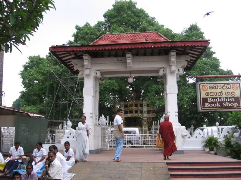 Калутара, Шри-Ланка, фото № 51232 – фотографии Шри-Ланки