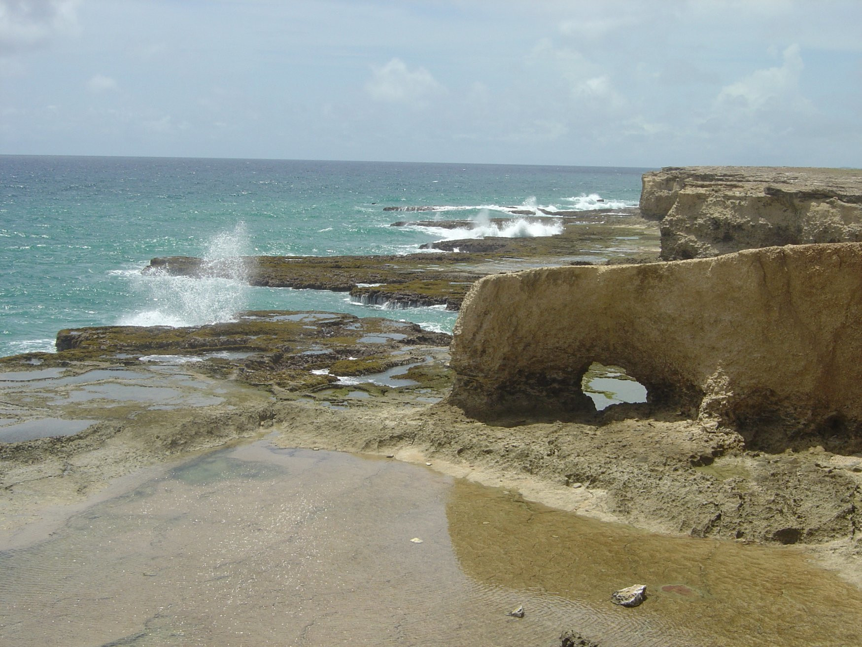 Северное побережье, Барбадос – фотографии Барбадоса