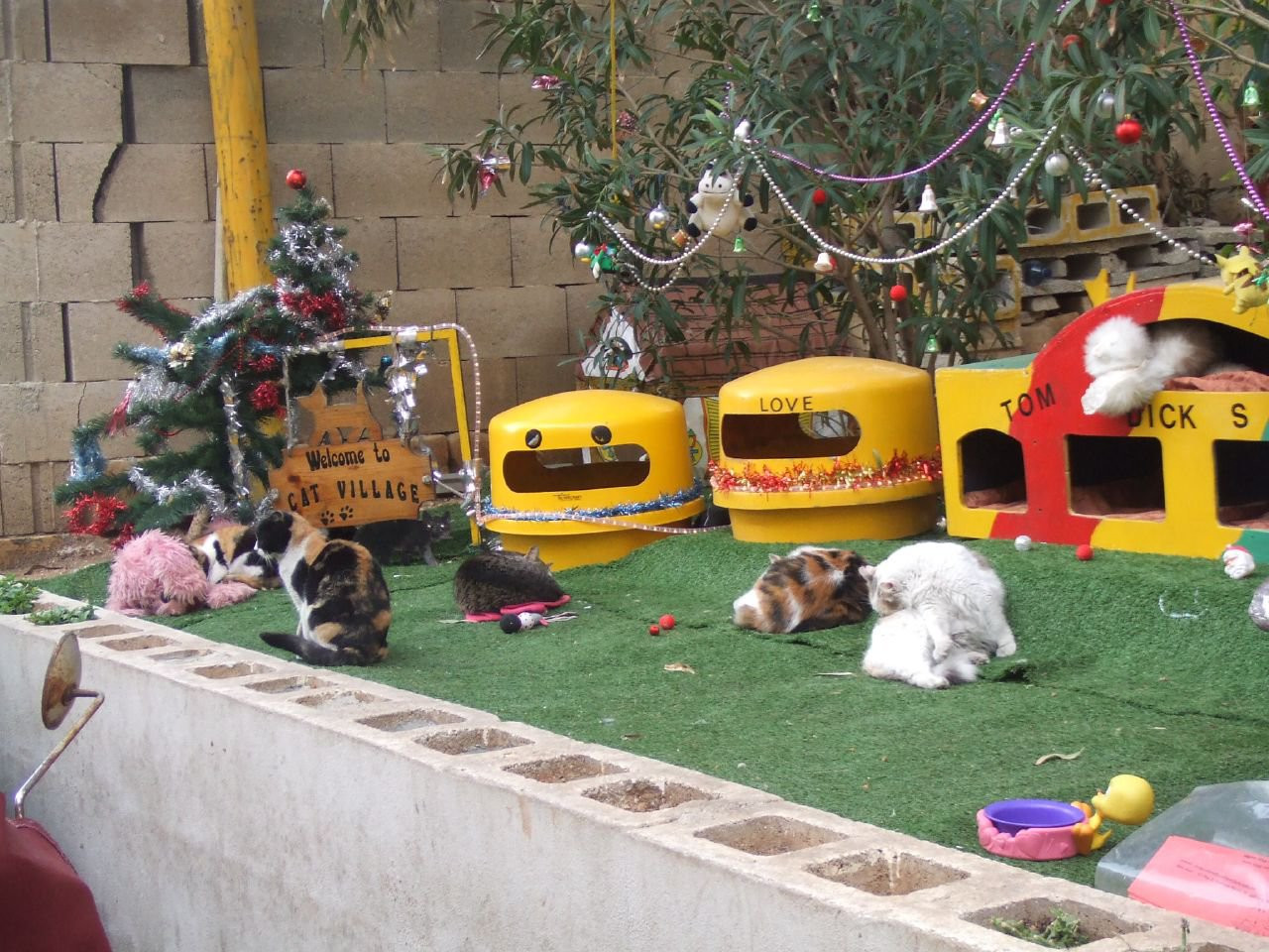 Сент-Джулианс, Мальта остров, Мальта, фото № 42818 – фотографии Мальты