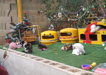 Сент-Джулианс, Мальта остров, Мальта, фото № 42818 – фотографии Мальты