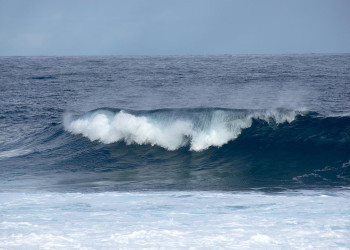 Пунта-дель-Идальго, Тенерифе остров, Канарские острова, фото № 33613 – фотографии Канарских островов