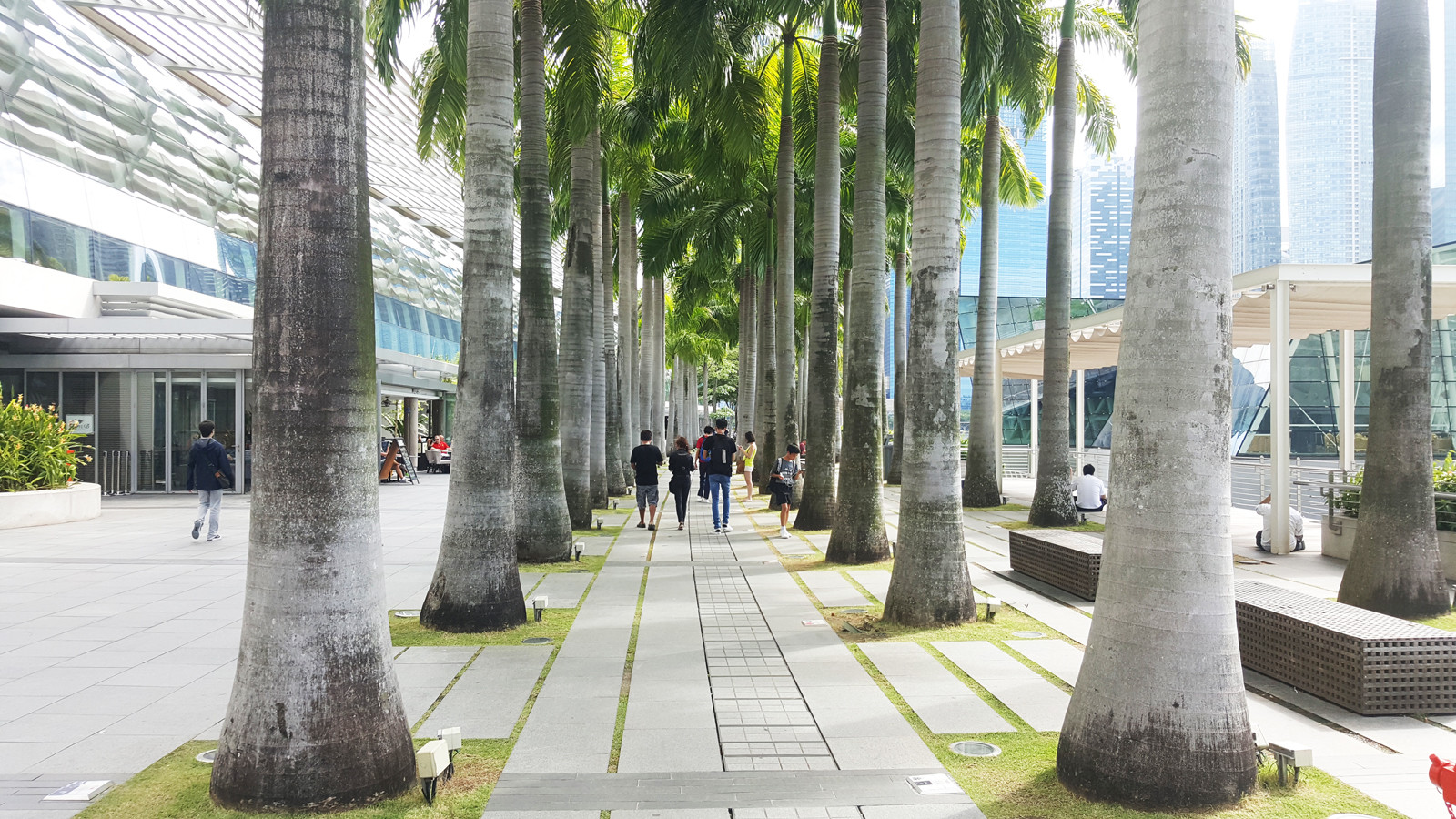 Марина Сэндс Бэй (Marina Sands Bay). Фото 1 – фотографии Сингапура