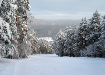 Горнолыжная база "Мраткино". Фото 5 – фотографии России