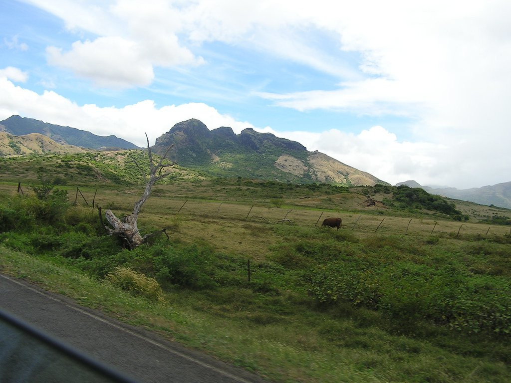 Вануа Леву группа островов, Фиджи, фото № 49183 – фотографии Фиджи