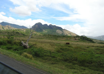 Вануа Леву группа островов, Фиджи, фото № 49183 – фотографии Фиджи