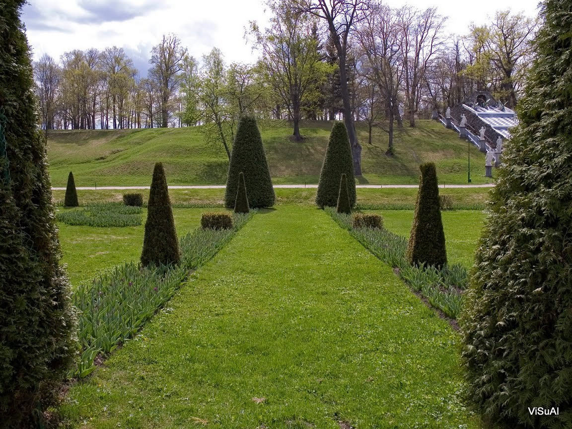 Сквер в Петергофе, Россия. Фото 1 – фотографии России