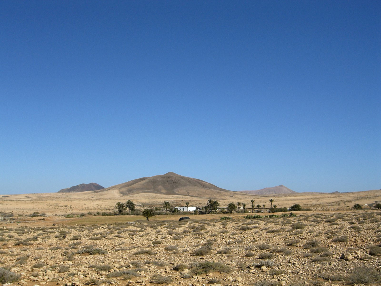 Тиндайя, Фуэртевентура остров, Канарские острова, фото № 34448 – фотографии Канарских островов