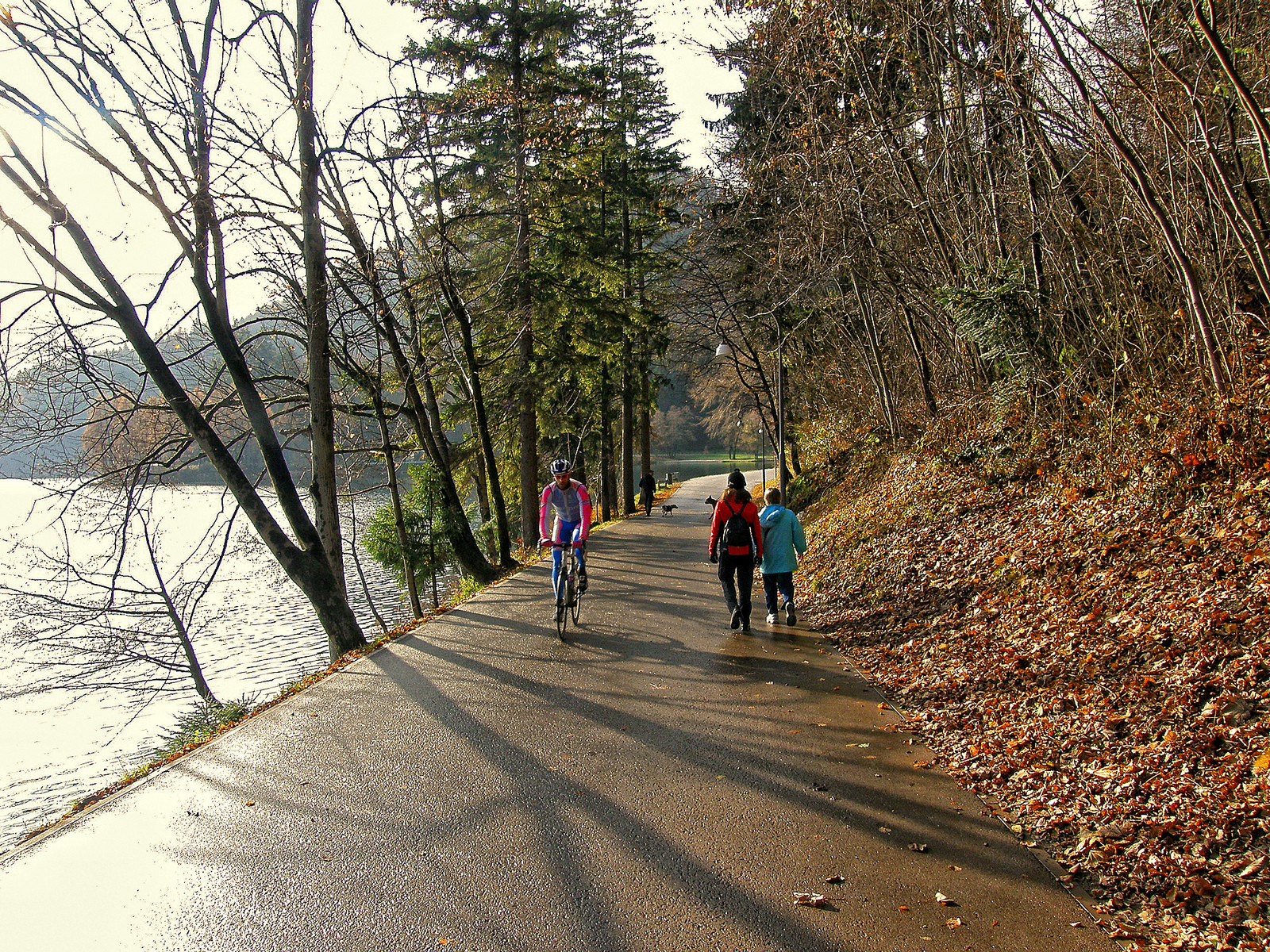 Бледское озеро (Blejsko jezero), Словения. Фото 9 – фотографии Словении