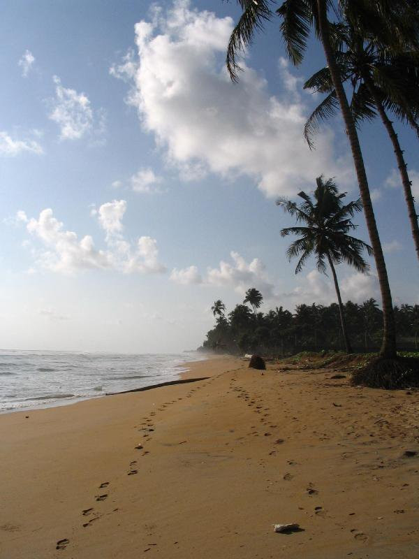 Ваддува, Шри-Ланка, фото № 50806 – фотографии Шри-Ланки