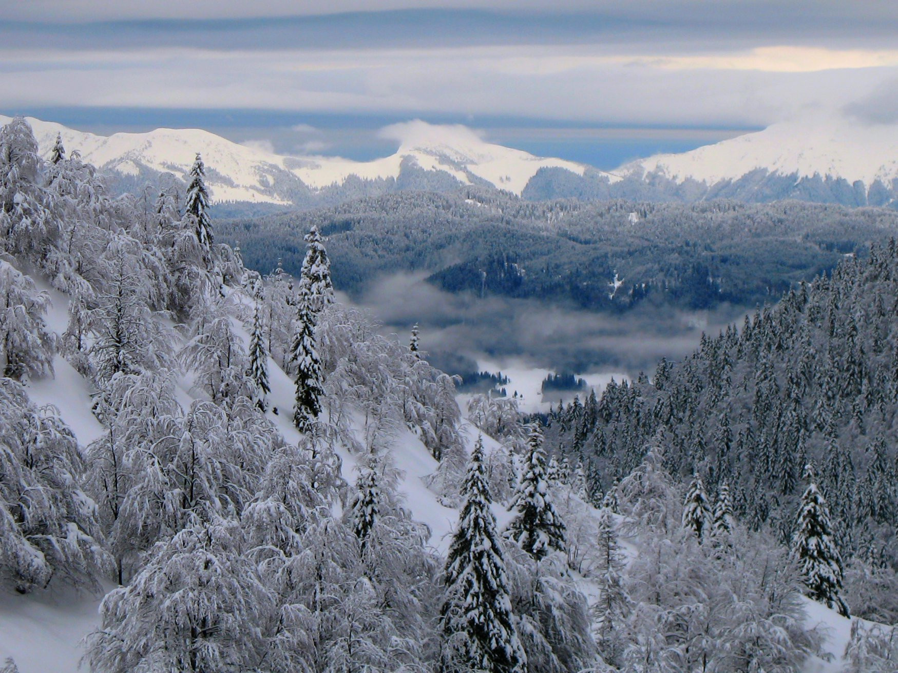 Соришка Планина, Словения, фото № 57559 – фотографии Словении