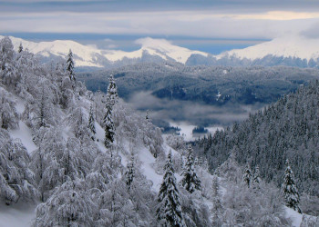 Соришка Планина, Словения, фото № 57559 – фотографии Словении