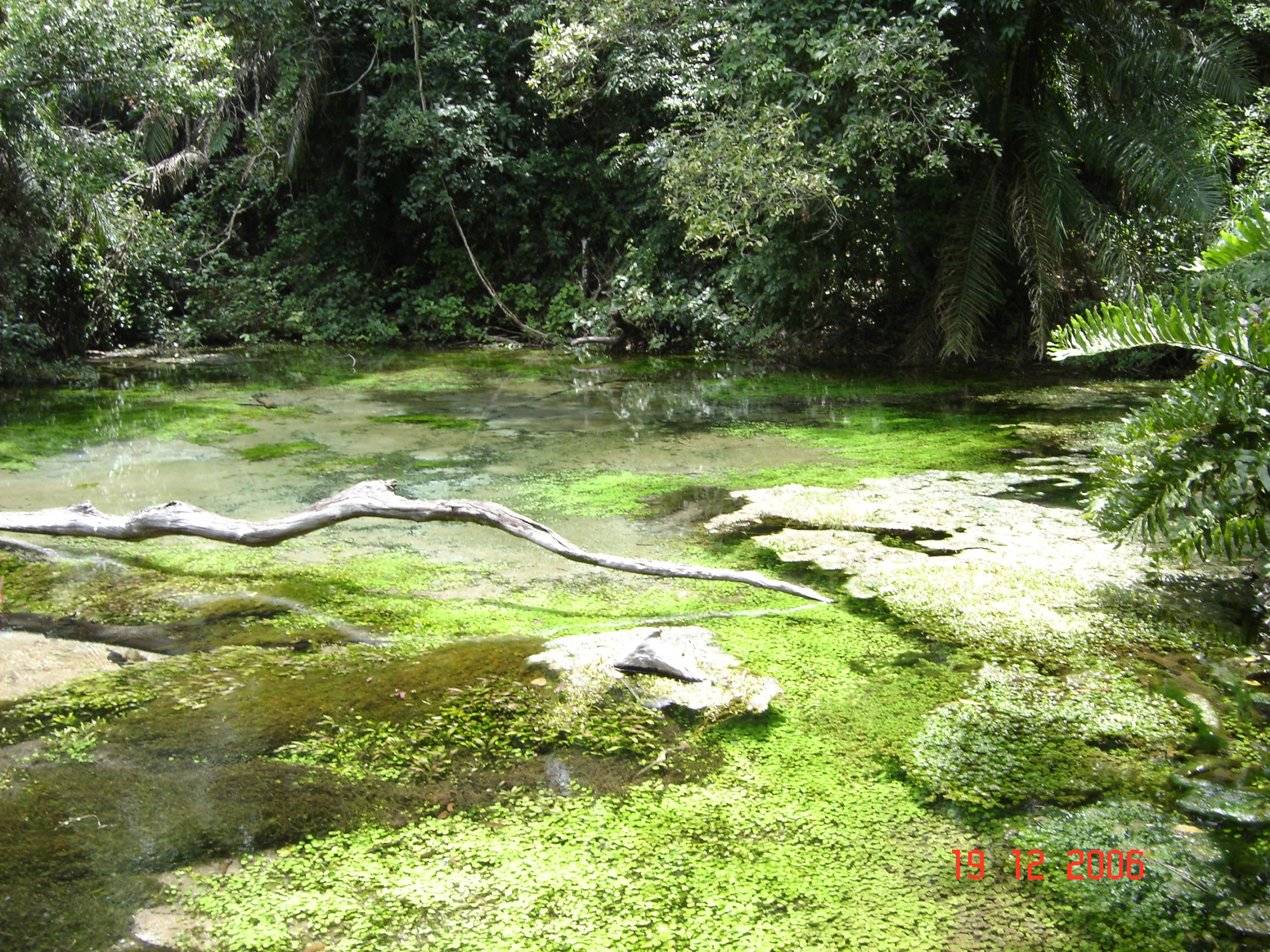 Бониту – фотографии Бразилии
