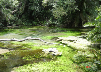 Бониту – фотографии Бразилии