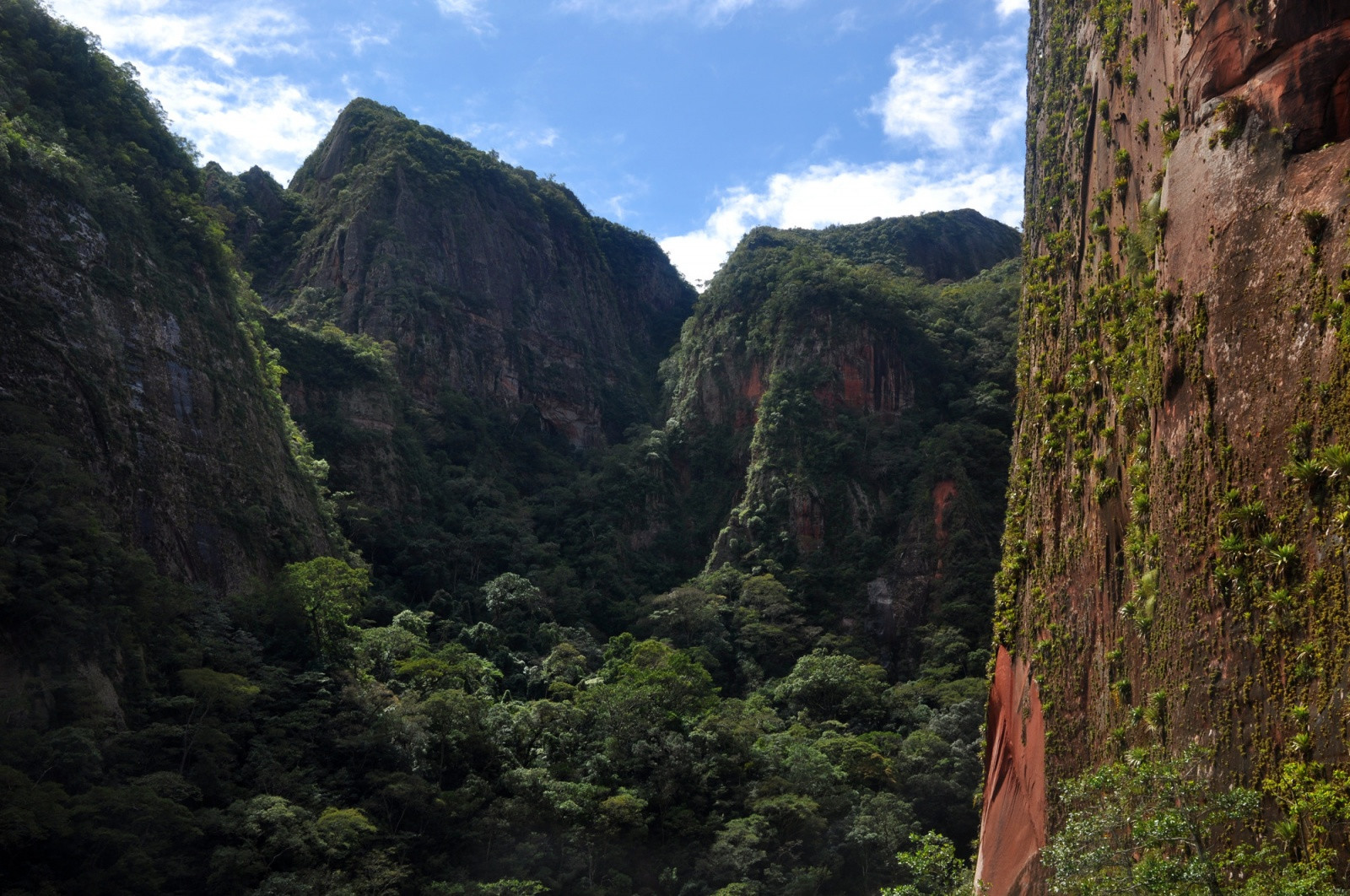 Национальный парк Амборо – фотографии Боливии
