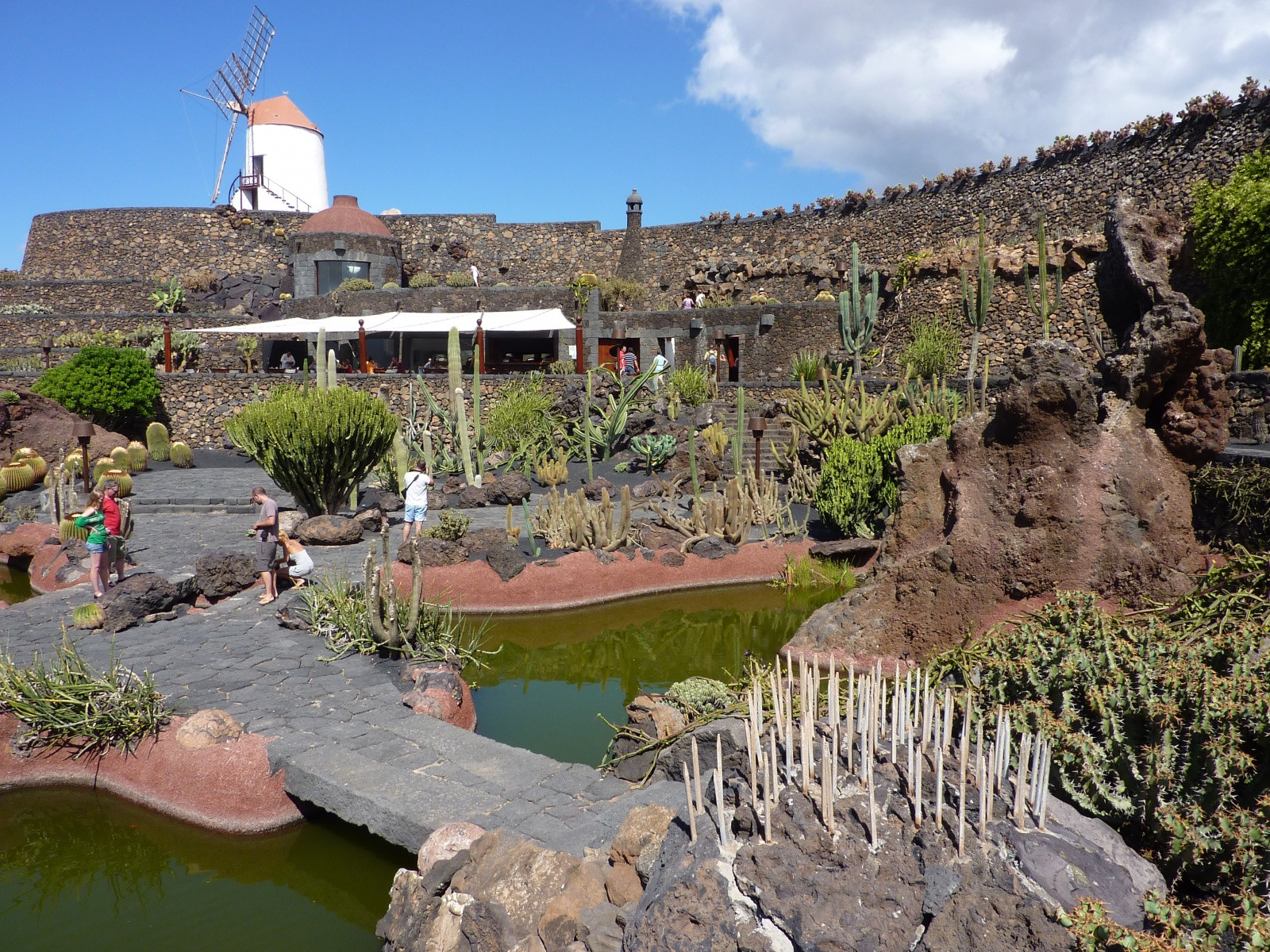 Кактусовый сад (Jardin de Cactus) на острове Лансароте. Фото 11 – фотографии Канарских островов