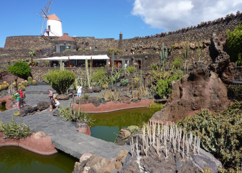 Кактусовый сад (Jardin de Cactus) на острове Лансароте. Фото 11 – фотографии Канарских островов
