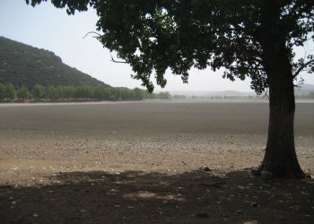 Ифран, Марокко, фото № 7533 – фотографии Марокко