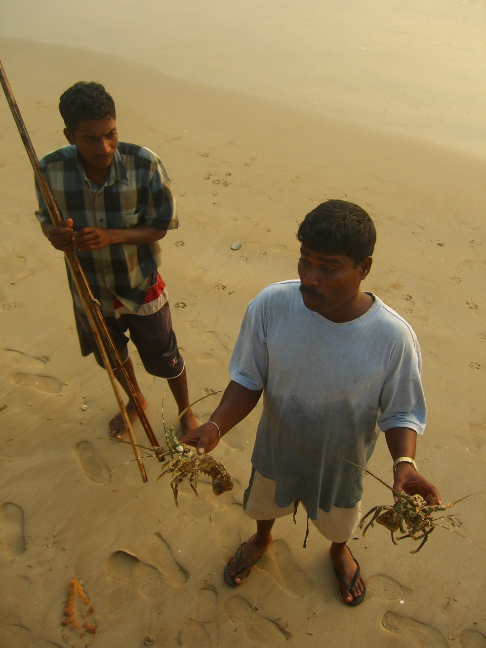 Диквелла, Шри-Ланка, фото № 51137 – фотографии Шри-Ланки