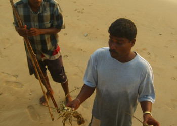 Диквелла, Шри-Ланка, фото № 51137 – фотографии Шри-Ланки