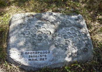 Дивногорье – музей-заповедник в 140 км от Воронежа. Фото 5 – фотографии России