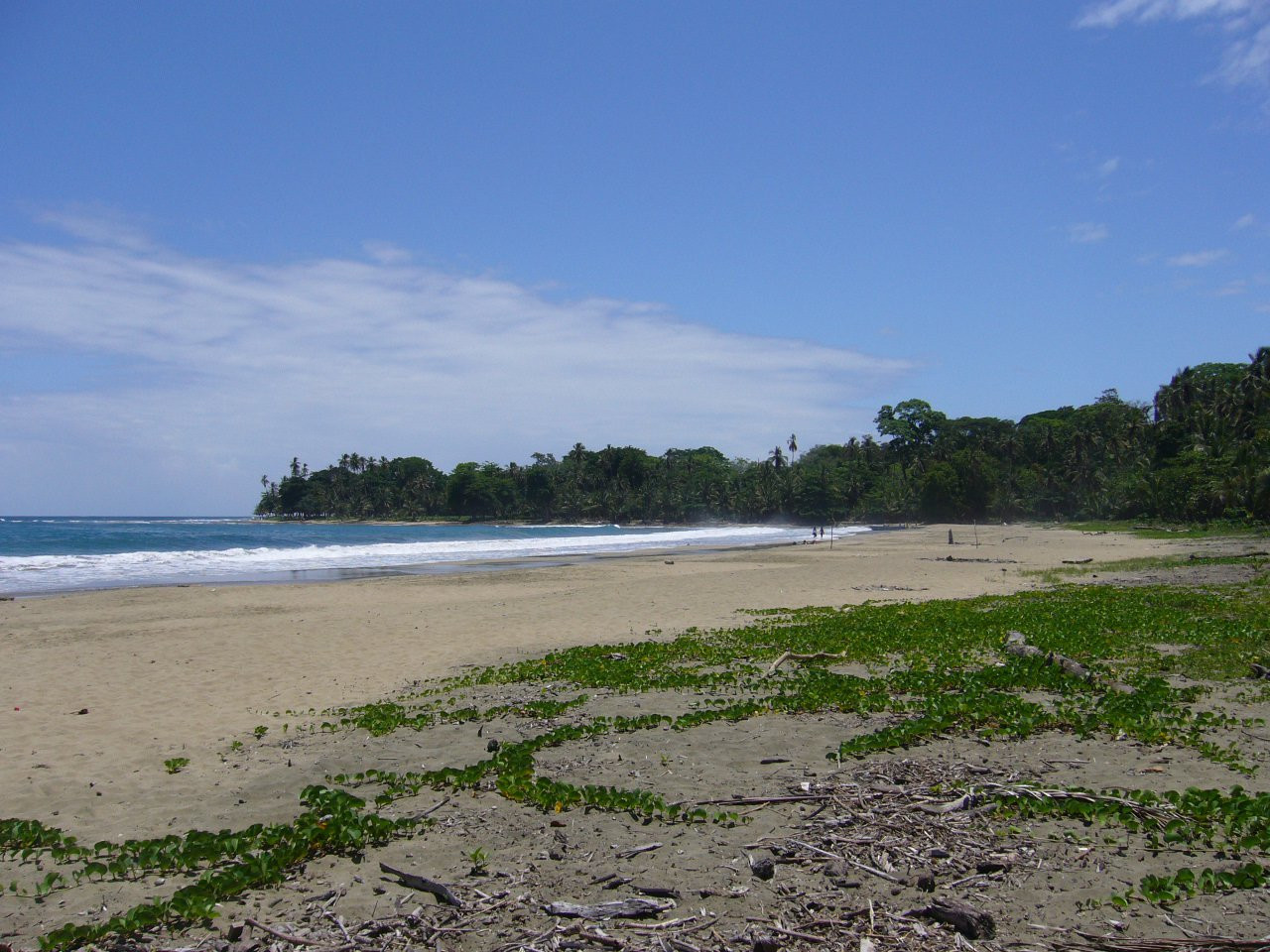 Пуэрто Вьехо, Лимон провинция, Коста-Рика, фото № 40189 – фотографии Коста-Рики