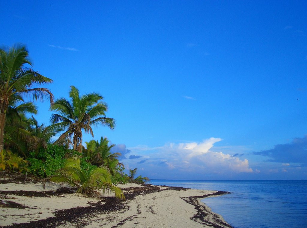 Остров Альфонс. Фото 1 – фотографии Сейшельских островов
