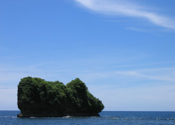 Пуэрто Вьехо, Лимон провинция, Коста-Рика, фото № 40182 – фотографии Коста-Рики