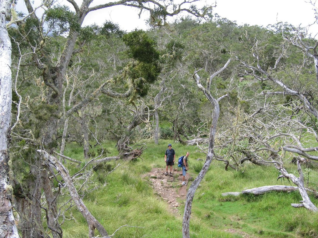 Салази, Реюньон, фото № 25804 – фотографии Реюньона